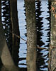 _A049641croofm.jpg